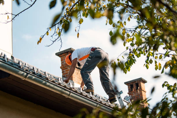 Best Roof Leak Repair  in Prairie Du Chien, WI