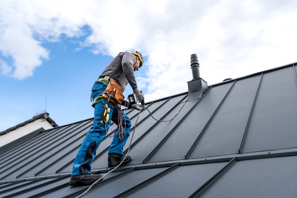 Best Roof Maintenance and Cleaning  in Prairie Du Chien, WI